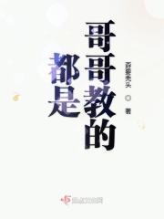 都是哥哥惹的祸作文400字