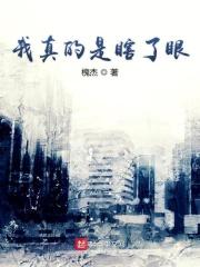 你真是瞎了眼