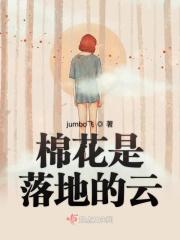棉花是在树上的吗