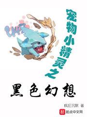 宠物小精灵之黑色幻想txt
