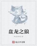 盘龙之狼全文
