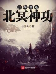 开局满级北冥神功TXT