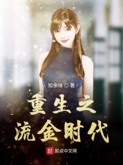 穿越重生电视剧流金岁月
