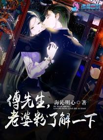 傅先生的老婆粉全文