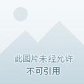 有一本主角叫叶玄的