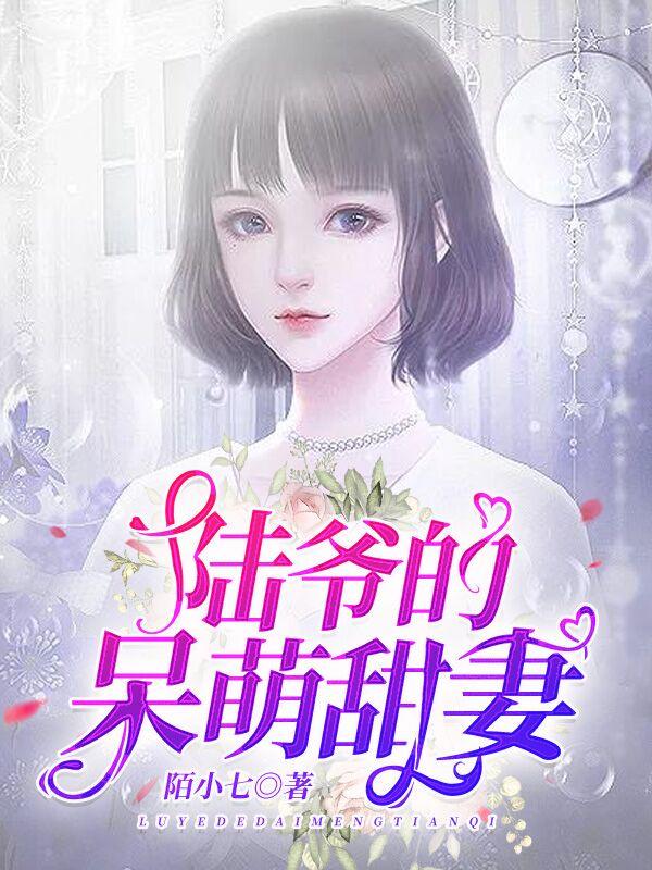 苏醒陆明琛名