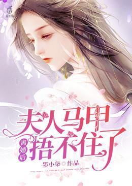 夫人又和你离婚了