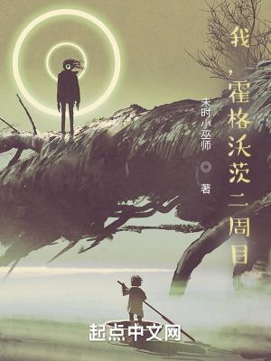 霍格沃茨攻略游戏