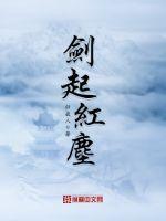 红尘仗剑人已癫