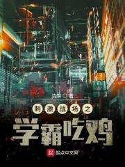刺激战场体验服安装