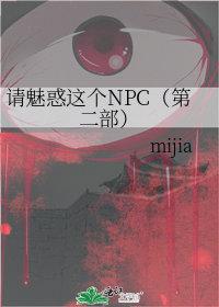 请魅惑这个npv