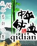 中华密令