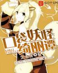 口袋妖怪莉莉艾内衣