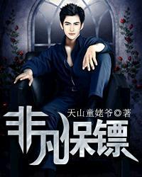 非常保镖解说