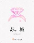 苏城公证处