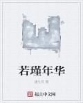 若锦年华