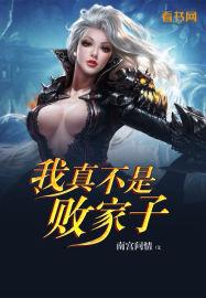 我真不是败家子林霄