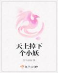天上掉下个小仙女电视剧