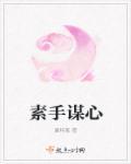 素手匠心全文免费