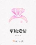 军旅爱情番娶妻只为生孩子