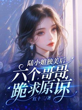 陆小姐又美又娇书评