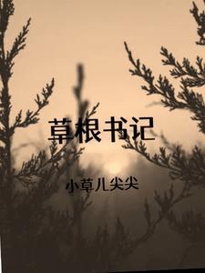 草根投资董事长