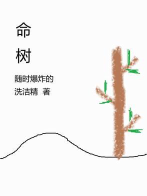 海贼炼金成神