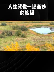 言情故事长篇