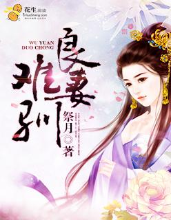 良妻简介