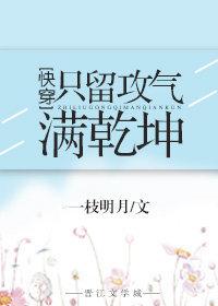 只留攻气满乾坤txt书包网