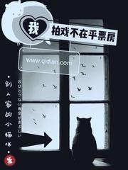 我拍戏不在乎票房目录