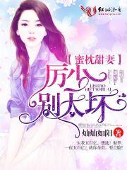 蜜枕糖婚陆少