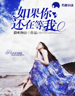 如果你还在就好了表达了什么