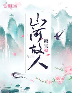 山河故人哪年拍的