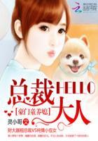 总裁大人作者灵小哥