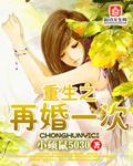 重生之再婚一次 笔趣阁