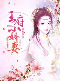 王府小媳妇全文免费