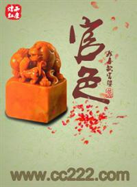 官梯女领导