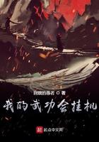 我的武功会挂机txt