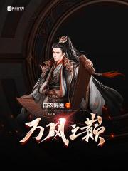 电视剧万风之王