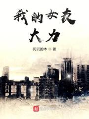 我女友是诸葛大力免费读