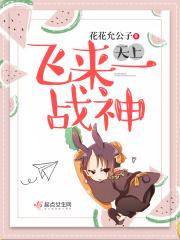 天上飞来飞去