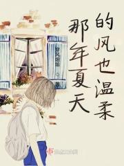 那年夏天风在吹