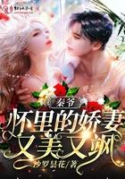 秦爷怀里娇妻大佬