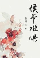 侯爷难伺txt