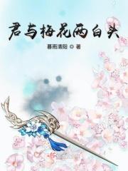 我与梅花两白头全文