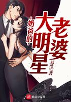 奶爸的大明星老婆txt八零
