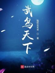 鸟 天下