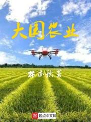 大国农业第一集