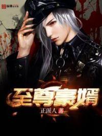 至尊豪婿陆凡唐浣溪笔趣阁